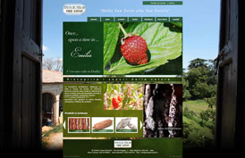 Podere Casa Schizzati
